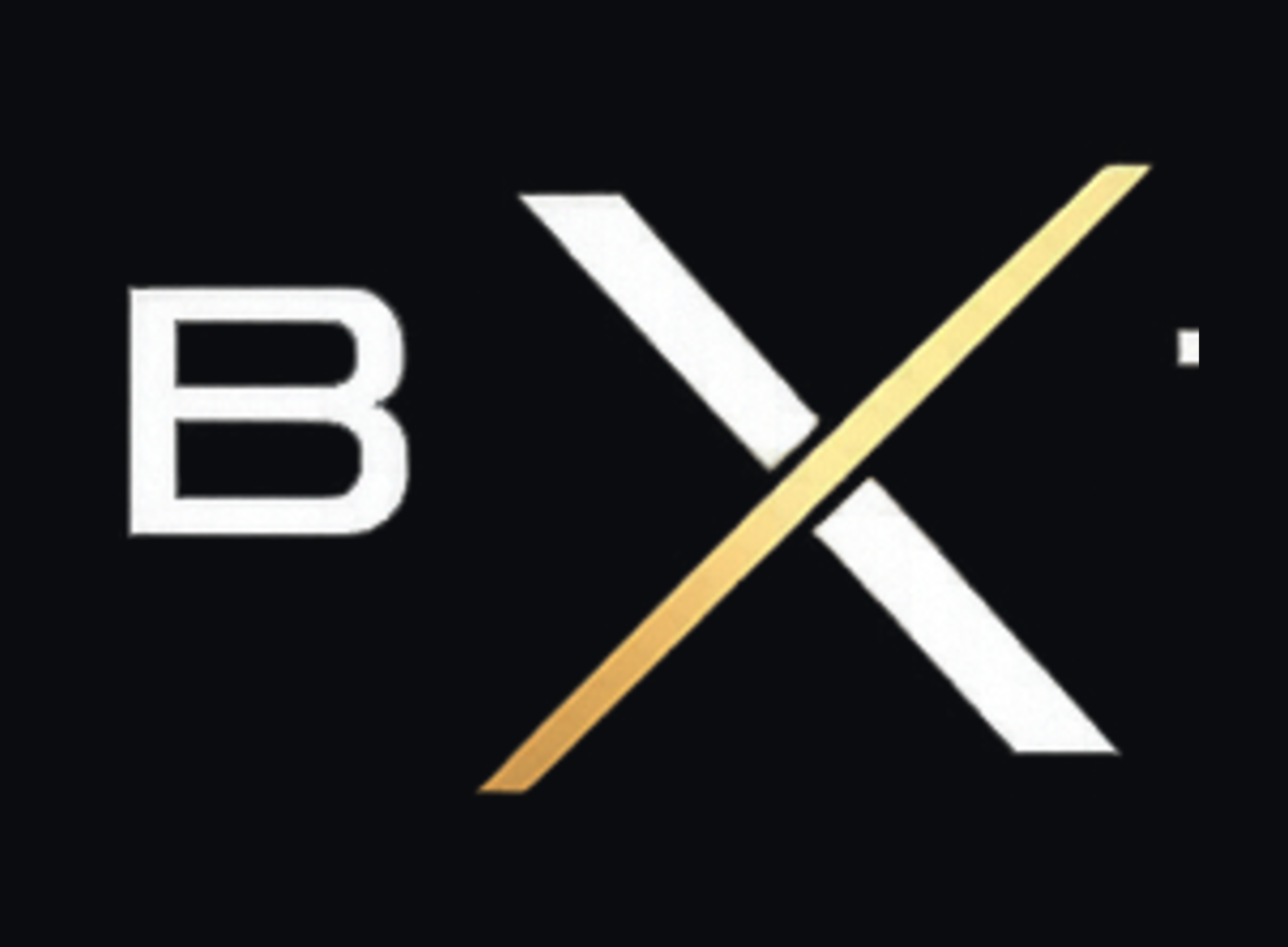 BX monogram on carbon